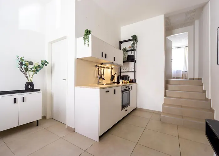 Noor - Dolce Flair In Center *